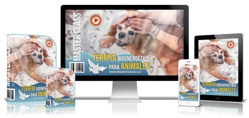 TERAPIA BIOENERGÉTICA PARA ANIMALES